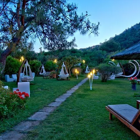 Tui Magic Life 5*