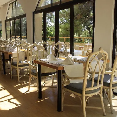 Tui Magic Life 5*